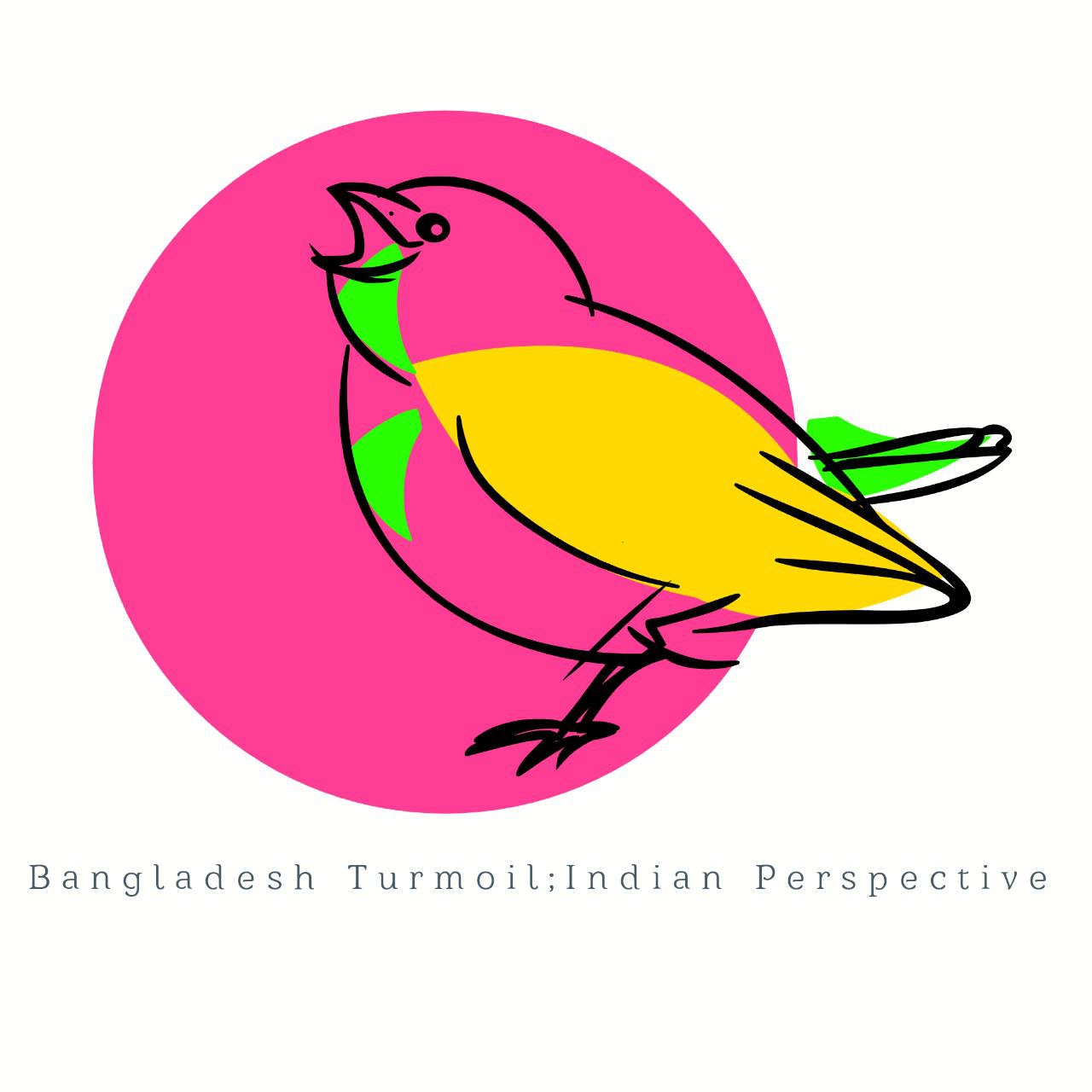 Bangladesh Turmoil